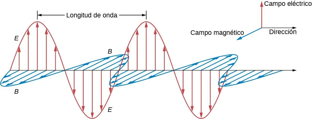 La figura muestra la dirección x positiva como dirección de propagación. La dirección y positiva se denomina campo eléctrico y la dirección z positiva se denomina campo magnético. Una onda sinusoidal en el plano xy está marcada como E. Las flechas del campo eléctrico tienen sus bases en el eje x y sus puntas en la onda E. Otra onda sinusoidal marcada como B está en el plano xz. Las flechas del campo magnético tienen sus bases en el eje x y sus puntas en la onda B. Las ondas E y B tienen la misma longitud de onda y están en fase entre sí.