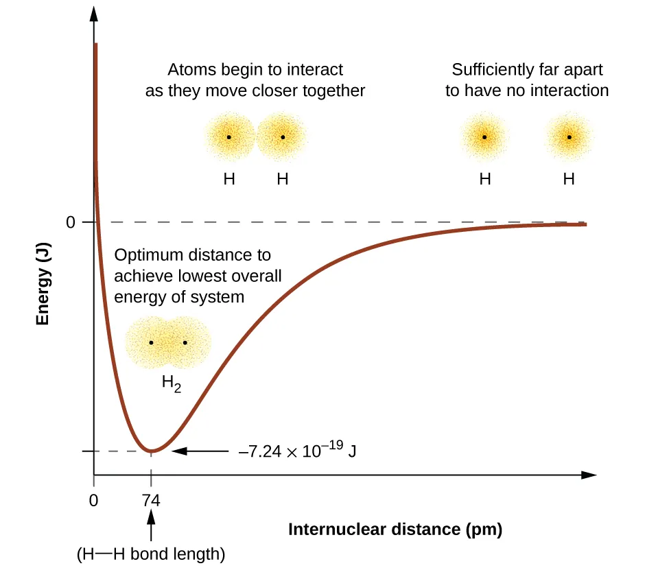 A pair of diagrams are shown and labeled “a” and “b”. Diagram a shows three consecutive images. The first image depicts two separated blurry circles, each labeled with a positive sign and the term “H atom.” The phrase written under them reads, “Sufficiently far apart to have no interaction.” The second image shows the same two circles, but this time they are much closer together and are labeled, “Atoms begin to interact as they move closer together.” The third image shows the two circles overlapping, labeled, “H subscript 2,” and, “Optimum distance to achieve lowest overall energy of system.” Diagram b shows a graph on which the y-axis is labeled “Energy ( J ),” and the x-axis is labeled, “Internuclear distance ( p m ).” The midpoint of the y-axis is labeled as zero. The curve on the graph begins at zero p m and high on the y-axis. The graph slopes downward steeply to a point far below the zero joule line on the y-axis and the lowest point reads “0.74 p m” and “H bonded to H bond length.” It is also labeled “ negative 7.24 times 10 superscript negative 19 J.” The graph then rises again to zero J. The graph is accompanied by the same images from diagram a; the first image correlates to the point in the graph where it crosses the zero point on the y-axis, the third image where the graph is lowest.