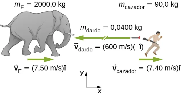 Un dibujo de un elefante, a la izquierda, y de un cazador, a la derecha. Se muestra un sistema de coordenadas x y, con la x positiva hacia la derecha y la y positiva hacia arriba. El elefante está marcado como m E = 2.000,0 k g, y con el vector v E = 7,50 metros por segundo por el vector I. Una flecha sobre el vector v E apunta hacia la derecha. El cazador está marcado como m cazador = 90,0 k g, y con el vector v cazador = 7,40 metros por segundo por el vector I. Una flecha sobre el vector v cazador apunta hacia la derecha. Entre el cazador y el elefante hay un dardo con una flecha larga que apunta hacia la izquierda dibujada cerca de este y marcada como vector v dardo = 600 metros por segundo por el vector menos I, y m dardo = 0,0400 k g.