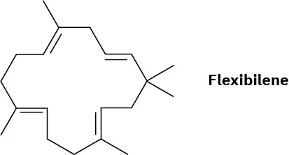 The structure of flexibilene. It is a fifteen-membered ring with three methyl vinyl groups at C 7, C 11, and C 15, and a dimethylated carbon at C 3.