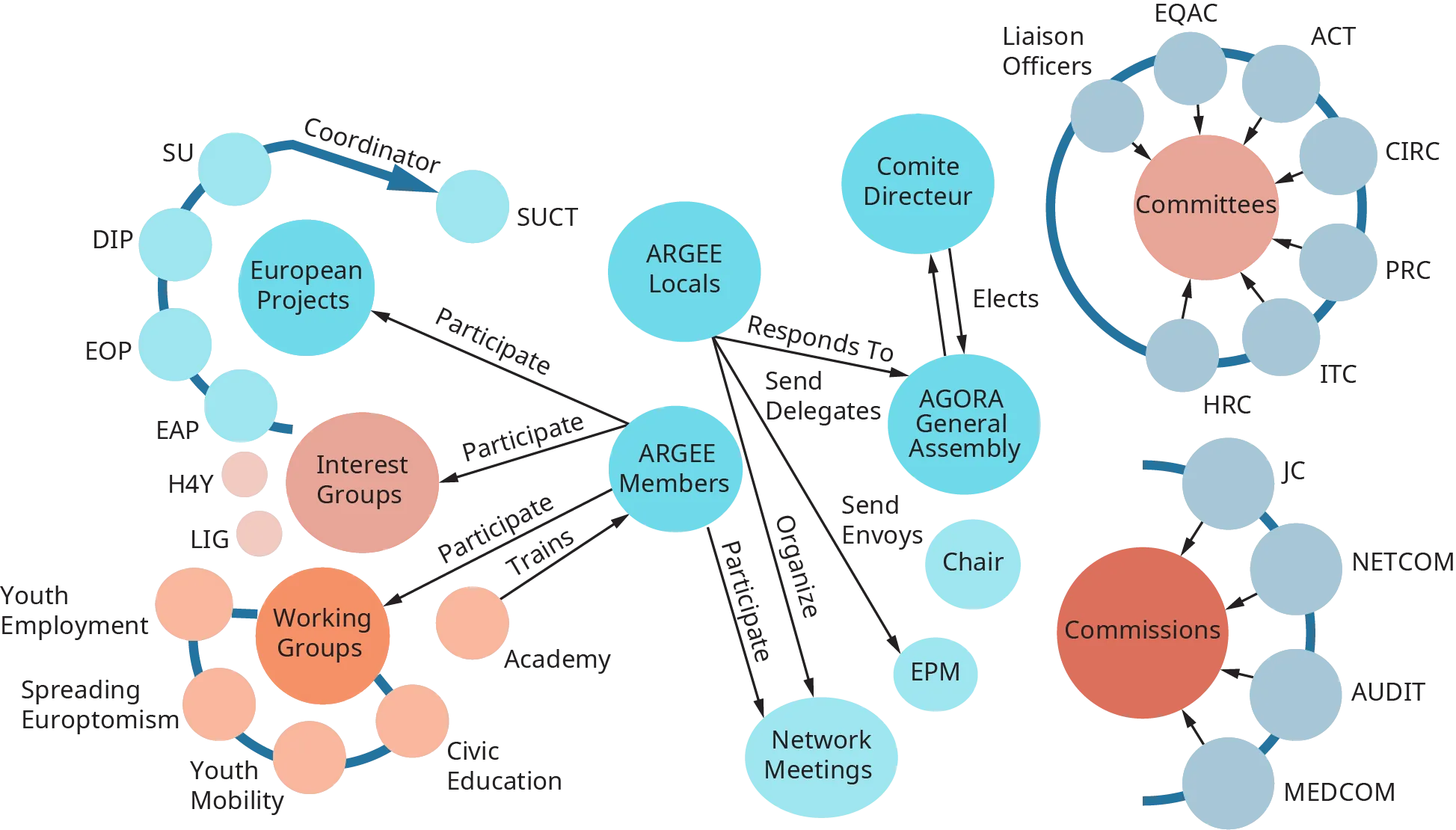 A diagram illustrates an example of a networked team structure in an organization.