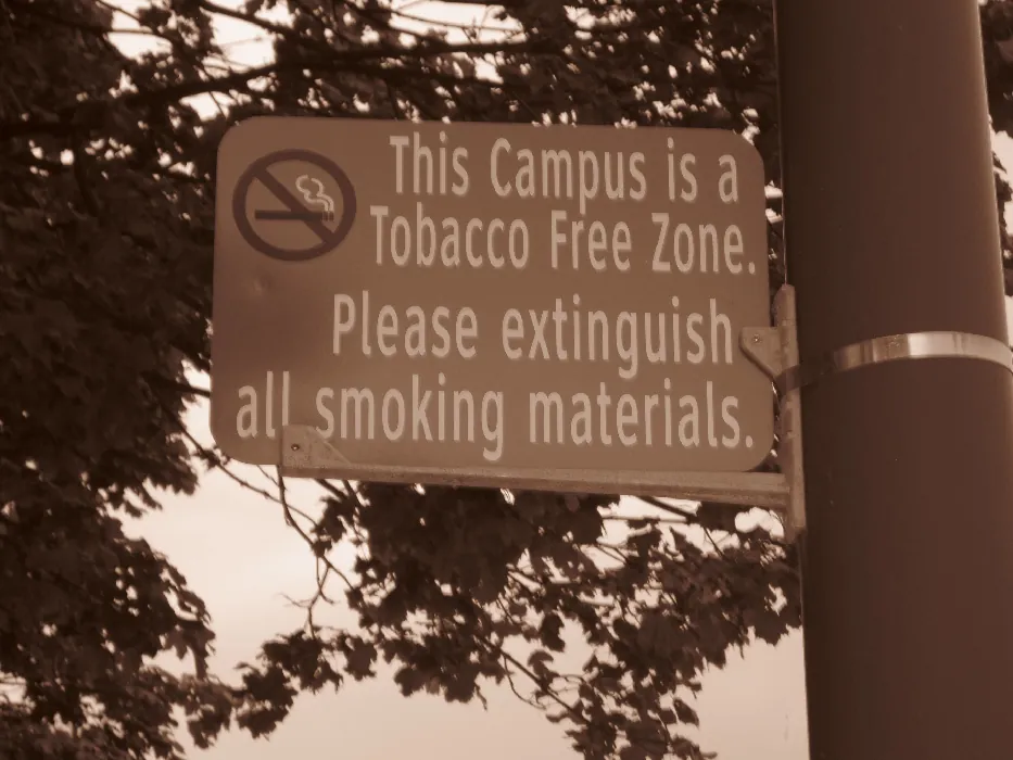 A sign attached to an outdoor metal pole states: This campus is a tobacco free zone. Please extinguish all smoking materials.