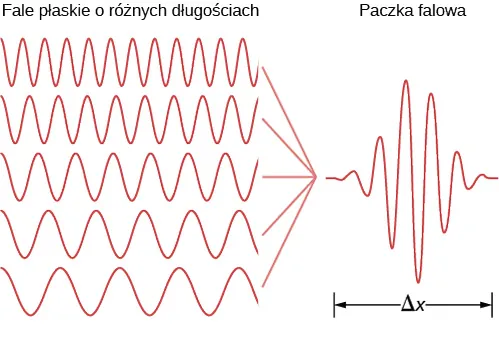 Pokazano kilka różnych fal o tej samej amplitudzie. W wyniku ich dodawania się tworzy się paczka falowa. Paczka falowa oscyluje wokół swego rosnącego maksimum z zakresem pulsacji oznaczonym jako Delta x.