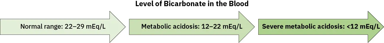 An illustration shows an arrow pointing down. It’s divided into three portions with labels. From top to bottom these read: Normal Range: 22-28 mEq/L; Metabolic Acidosis: 12-22 mEq/L; Severe/Acute Metabolic Acidosis: <12 mEq/L.