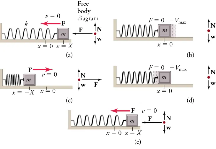Five diagrams, a, b, c, d, and e are shown. They show an object attached to a spring sliding on a frictionless surface. Diagram a shows a left-pointing force vector and the following labels: v equals zero, x equals zero, x equals x, k. Diagram b has the following labels: F equals zero, negative v max, x equals zero. Diagram c shows a right-pointing force vector and the following labels: v equals zero, x equals zero, x equals negative x. Diagram d has the following labels: F equals zero, positive v max, x equals zero. Diagram e shows a left-pointing force vector and the following labels: v equals zero, x equals zero, x equals x. Free-body diagrams illustrate the forces acting on each system.