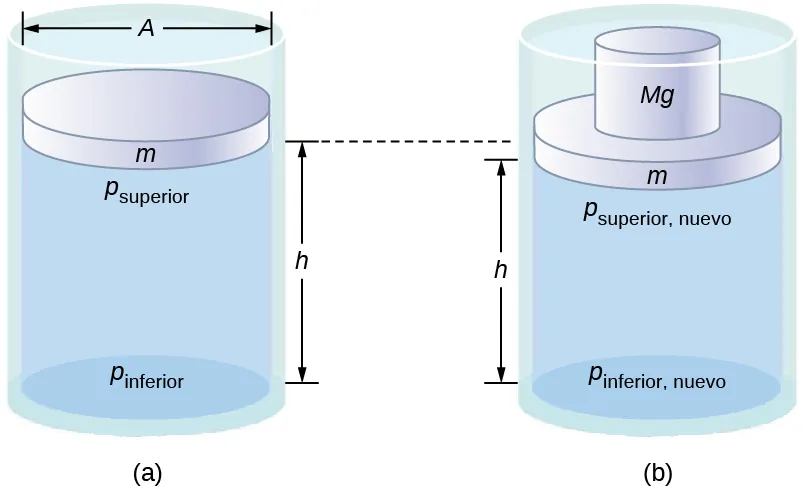 La figura A es un dibujo esquemático de un cilindro lleno de líquido y abierto a la atmósfera por un lado. En el recipiente se coloca un disco de masa m y superficie A idéntica a la superficie del cilindro. La distancia entre el disco y el fondo del cilindro es h. La figura B es un dibujo esquemático del cilindro con un disco adicional de masa Mg colocado encima de la masa m que hace que la masa m se mueva más abajo.