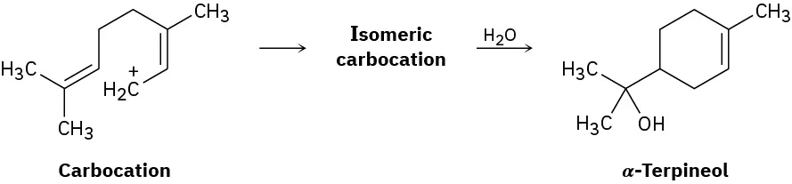 A carbocation forms isomeric carbocation, which further reacts with water to form alpha-terpineol.