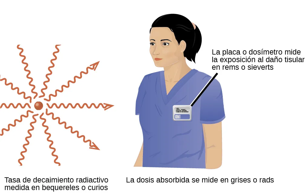 Se muestran dos imágenes. La primera, marcada como "tasa de decaimiento radiactivo medida en becquerel o curios", muestra una esfera roja con diez flechas rojas que se alejan de ella en un círculo de 360 grados. La segunda imagen muestra la cabeza y el torso de una mujer con bata médica y una placa en el pecho. La leyenda de la placa señala: "La placa o dosímetro mide la exposición al daño tisular en rems o sieverts", mientras que en una frase bajo esta imagen se lee: "La dosis absorbida se mide en grays o rads".