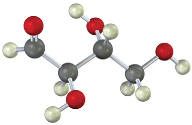 The ball-and-stick model of a four carbon aldose. The gray, black, and red spheres represent hydrogen, carbon, and oxygen atoms, respectively.