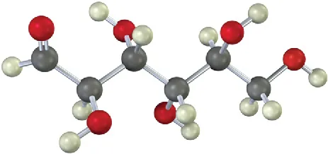 The ball-and-stick model of an aldohexose. The gray, black, and red spheres represent hydrogen, carbon, and oxygen atoms, respectively.