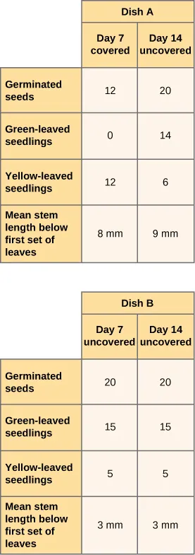 Table compares seed germination & seedling development in Dish A (covered then uncovered) & Dish B (uncovered). Dish A shows increased green seedlings & germination after uncovering. Dish B has consistent growth.