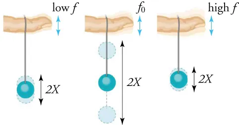 A ball bobs up and down with the greatest amplitude when the finger drives its oscillation at the fundamental frequency.