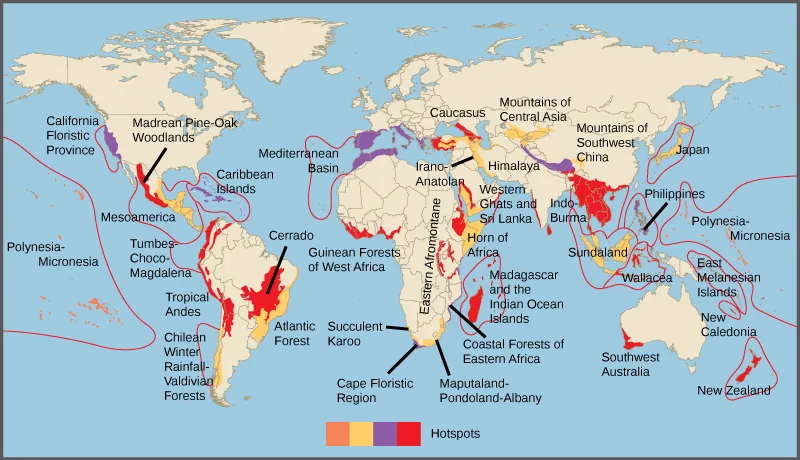 Biodiversity hotspots are indicated on a world map. Most hotspots occur in coastal regions and on islands.  Some of the hotspots include New Zealand, Madagascar, Thailand, Vietnam, the west coast of Central America, and southwest Austrailia.  Some other areas indicated are the California cost, labeled as the California floristic province, the Mediterranean Basin, and the Carribean islands.