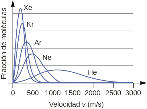 Se muestra un gráfico con cuatro curvas de inclinación positiva o derecha de diferentes alturas. El eje horizontal está marcado como "Velocidad u ( m dividido entre s )". Este eje está marcado por incrementos de 500 que comienzan en 0 y se extienden hasta 3.000. El eje vertical está marcado como "Fracción de moléculas". La más alta y estrecha de estas curvas está marcada como "X e". Su extremo derecho parece tocar el eje horizontal alrededor de 600 m por s. Le sigue una curva ligeramente más amplia que se denomina "A r", que tiene aproximadamente la mitad de la altura de la curva inicial. Su extremo derecho parece tocar el eje horizontal alrededor de 900 m por s. La tercera curva es significativamente más amplia y algo más de un tercio de la altura de la curva inicial. Está marcada como "N e". Su extremo derecho parece tocar el eje horizontal alrededor de 1200 m por s. La curva final es solo una cuarta parte de la altura de la curva inicial. Es mucho más ancha que los otras, tanto que su derecha alcanza el eje horizontal alrededor de 2500 m por s. Esta curva está marcada como "H e".