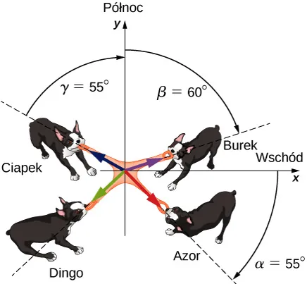 Rysunek przedstawiający 4 psy ciągnące zabawkę zębami. Zabawka znajduje się w początku układu współrzędnych, w którym osi x wskazuje na wschód, a oś y na północ. Ang ciągnie zabawkę pod kątem alfa równym 55 stopni, mierzonym zgodnie z ruchem wskazówek zegara od dodatniego kierunku osi x. Bing ciągnie zabawkę pod kątem beta równym 60 stopni, mierzonym zgodnie z ruchem wskazówek zegara od dodatniego kierunku osi y. Chang ciągnie zabawkę pod kątem gamma równym 55 stopni, mierzonym przeciwnie do ruchu wskazówek zegara od dodatniego kierunku osi y. Dong ciągnie zabawkę pod nieznanym kątem, mieszczącym się w trzeciej ćwiartce.