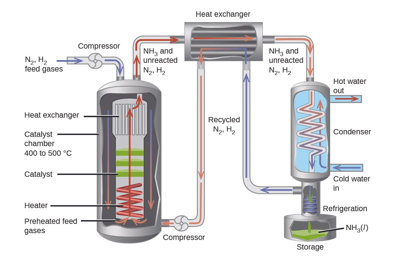 A diagram is shown that is composed of three main sections. The first section shows an intake pipe labeled with blue arrows and the terms, “N subscript 2, H subscript 2, feed gases,” and “Compressor.” This pipe leads to a large chamber with a turbine in the top section and a coil in the bottom section. From top to bottom, the sections of this chamber are labeled, “Heat exchanger,” “Catalyst chamber 400 to 500 degrees C,” “Catalyst,” “Heater,” and “Preheated feed gases.” One pipe leads from the top of this chamber with red arrows and is labeled, “N H subscript 3 and unreacted N subscript 2, H subscript 2,” while another pipe leads to the bottom of the chamber and reads, “Compressor,” and has orange arrows going through it. These two pipes are connected to a square container that is labeled, “Heat exchanger,” and has red arrows going into it from the upper pipe, orange arrows going away from it to the lower pipe and into a third system. The pipes leading into and out of the heat exchanger are labeled, “Recycled N subscript 2, H subscript 2.” The third system shows a container with an interior zig-zag-shaped pipe that sits on a base that contains a curled pipe on a storage tank. From the top of the image to the bottom are the terms, “N H subscript 3 and unreacted N subscript 2, H subscript 2,” “Condenser,” “Cold water in,” “Refrigeration,” “N H subscript 3 ( l ),” and “Storage” Blue arrows lead away from the base of this system and into the second system while other blue arrows lead into the system from the right side of the diagram and back out of the same chamber.