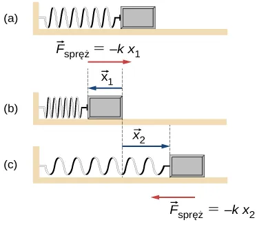 Rysunek a przedstawia klocek przymocowany do ściany znajdującej się po lewej stronie klocka za pomocą sprężyny. Siłę powracającą do położenia równowagi na rysunkach oznaczono jako F indeks dolny spręż i jest ona równi minus k delta x1 lub x2, w zależności od sytuacji. Rysunek b pokazuje sytuację, w której sprężyna jest ściskana w stronę ściany. Siła, równa minus k delta x1 ma zwrot w prawo. Na rysunku c z kolei pokazano sytuację, w której sprężyna jest rozciągana w prawo od ściany. Wówczas siła sprężystości ma zwrot w lewo i wartość minus k delta x2. 