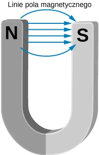 Rysunek przedstawia podkowę magnesu z liniami magnetycznymi biegnącymi od bieguna Północnego do Południowego. 