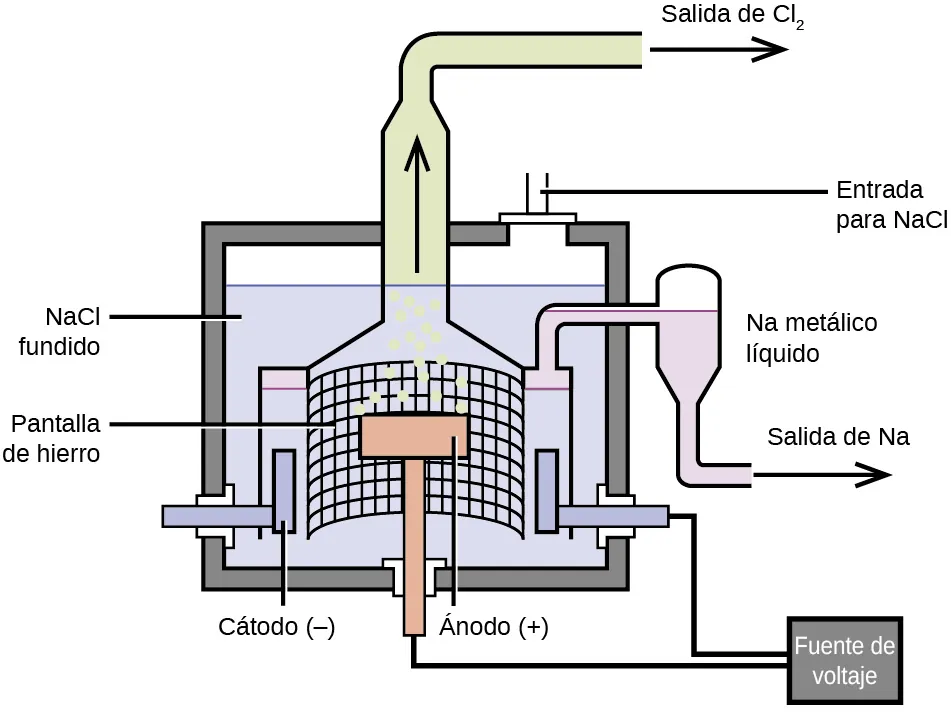 Se muestra un diagrama. En el centro del diagrama hay una estructura en forma de T marcada como "Ánodo (signo positivo)", que está sobre un fondo en forma de malla marcado como "Pantalla de hierro". El ánodo está conectado a una caja marcada como "Fuente de voltaje" mediante una línea, y la fuente de voltaje está conectada a una de las dos estructuras en forma de L que rodean el ánodo. Están marcadas como "Cátodo (signo negativo)". Encima del cátodo, en la parte derecha del diagrama, hay un tubo conectado a una cámara de recolección marcada como "N a metálico", que tiene una salida inferior marcada como "Salida del N a". Alrededor de todos estos componentes hay un fondo azul marcado como "N a C l fundido" y una serie de tubos que forman un cuadrado fuera del diagrama. Tienen una abertura en la esquina superior derecha marcada como "Entrada para el N a C l". En la parte superior del diagrama hay un gran tubo con una flecha hacia arriba dibujada en él. El tubo gira a la derecha, tiene una flecha hacia la derecha y está marcado como "Salida del C l subíndice 2".