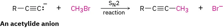 An S N 2 reaction between an acetylide anion and methyl bromide forms an alkyne and bromide ion.