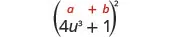 4 u cubed plus 1, in parentheses, squared. Above the expression is the general formula a plus b, in parentheses, squared.