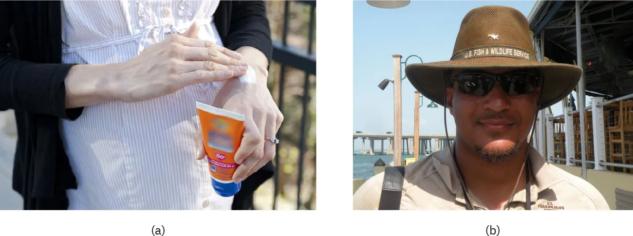 (a) A person applies lotion sunscreen to their hand. (b) A person wears a hat that shades their face from the sun.