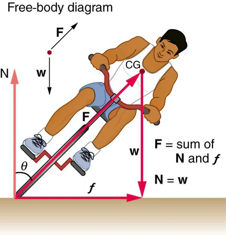 The given figure shows a boy riding a bicycle, from the front. The boy is sliding leftward to his left. Three vectors are shown. One is from the bottom the front cycle wheel to the right depicting centripetal force, another one is from the same point drawn vertically upward showing the force N, making an angle theta with the slope of the front cycle wheel. The third vector is drawn from the chest of the boy to vertically downward to the bottom showing his weight, w. An arrow from the bottom of the wheel to the chest point of the boy is also shown depicting the slope of the bicycle with force F exerting on it. A free-body diagram is also given alongside the figure showing the direction of weight and force vectors. And the values of net F equals to sum of N and centripetal force, and N equals to weight W also given alongside on the right.