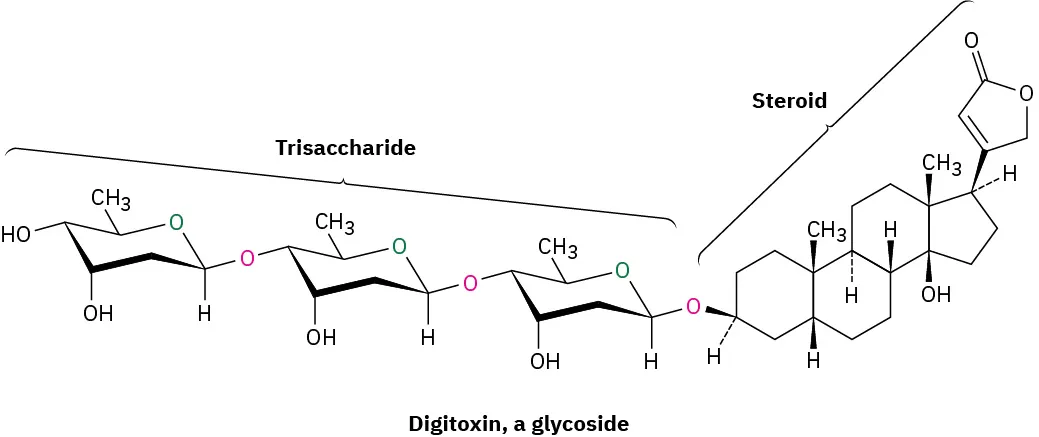 The structure of digitoxin, a glycoside. The trisaccharide and steroid in the structure are labeled.