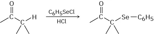A ketone undergoes a chemical reaction with benzeneselenenyl chloride and hydrochloric acid, yielding an alpha-phenylseleno ketone.