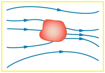 External field lines entering the object from one end and emerging from another are shown by lines.