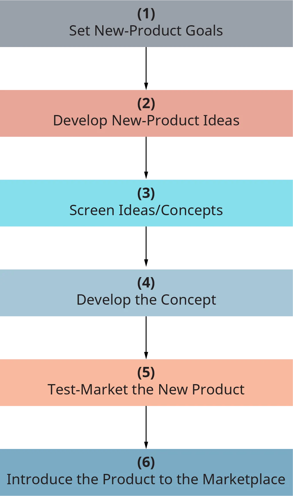 Each step flows into the next. Step 1, set new product goals. Step 2, develop new product ideas. Step 3, Screen ideas slash concepts. Step 4, develop the concept. Step 5, test market the new product. Step 6, introduce the product to the marketplace.