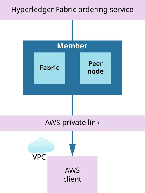 Hyperledger fabric ordering service blockchain, connected to Member (Fabric, Peer node), then to AWS private link, then through VPC to AWS client.