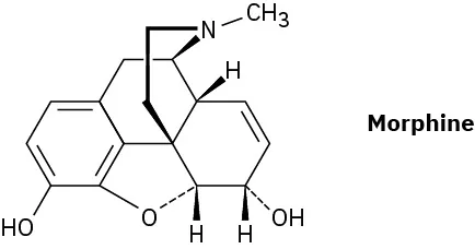 The structure of morphine.