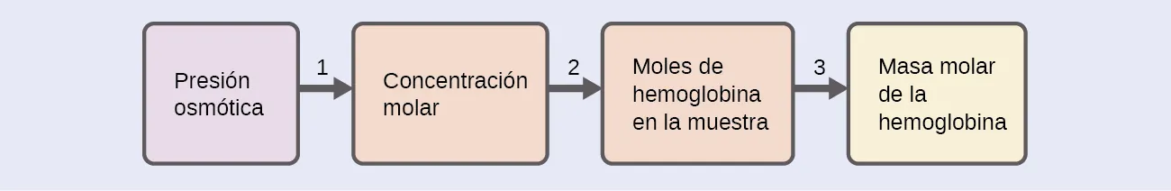Se trata de un diagrama con cuatro casillas orientadas horizontalmente y unidas entre sí con flechas numeradas del 1 al 3 que apuntan desde cada casilla sucesivamente a la siguiente a la derecha. La primera casilla está marcada como "Presión osmótica". La flecha 1 apunta desde esta caja a una segunda casilla marcada como "Concentración molar". La flecha 2 apunta desde esta casilla a un tercera marcada como "Moles de hemoglobina en la muestra". La flecha marcada con 3 puntos va de esta casilla a una cuarta marcada como "Masa molar de la hemoglobina".