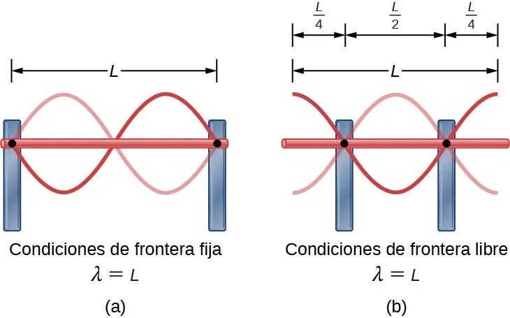 opuestos en fase, formando nodos en los puntos donde los postes soportan la varilla y antinodos en ambos extremos de la varilla.