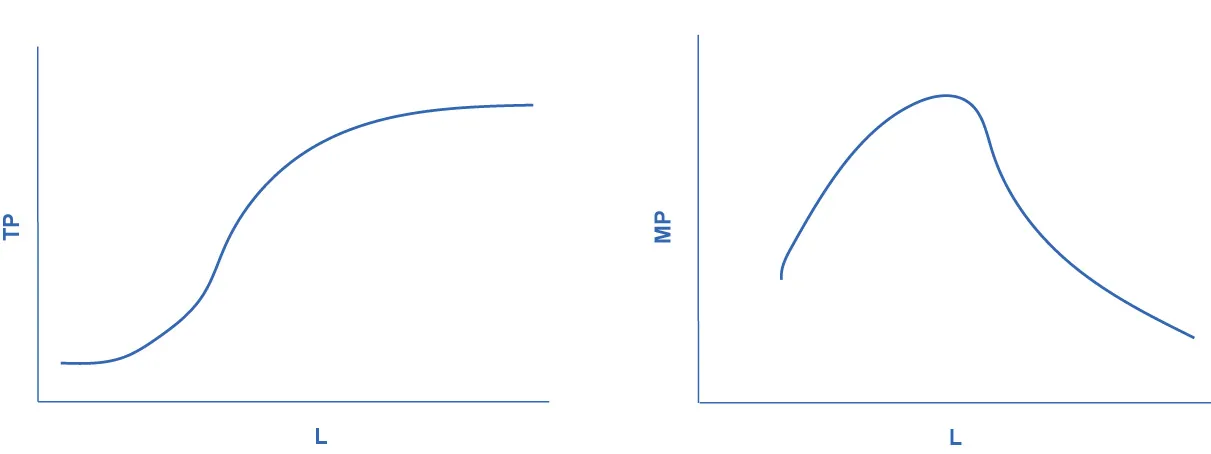 The graph shows the data from figure 7.2.  The x-axis is the change in labor, and is labelled L.  The y-axis is the change in total product, and is labelled TP.  The curve in the graph starts relatively steeply, and levels off after time. The graph shows the more general cases of total product and marginal product curves.  The x-axis is labor, and is labelled L.  The y-axis is marginal product, and is labeled MP.  The graph initially curves upward, then peaks before continuning in a downward direction until it tails off near the x-axis, showing nearly zero marginal product as labor increases.   