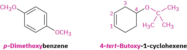 The structures of p-dimethoxybenzene and 4-tert-butoxy-1-cyclohexene. The carbon atoms are numbered from the double bond position in 4-tert-butoxy-1-cyclohexene.