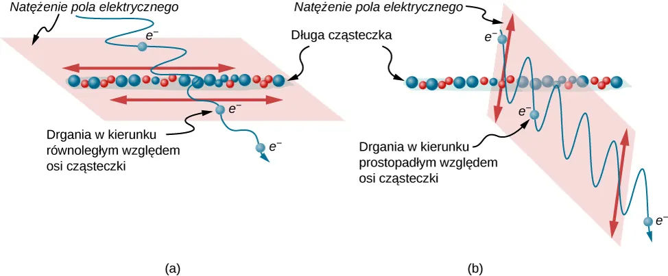 Figura pokazuje długą cząsteczkę. Fala elektromagnetyczna przechodzi przez cząsteczkę. Fala rozchodzi się w kierunku prostopadłym do osi cząsteczki, a drgania fali zachodzą w kierunku równoległym do osi cząsteczki. Elektrony drgają w kierunku równoległym do osi cząsteczki. Po przejściu przez cząsteczkę amplituda drgań fali zostaje znacząco zredukowana. Figura b ilustruje podobny schemat, z tą różnicą, że drgania zachodzą w kierunku prostopadłym do osi cząsteczki. Po przejściu przez cząsteczkę amplituda drgań fali EM pozostaje niezmieniona.