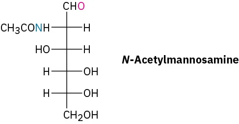 Fischer projection of N-acetylmannosamine. It is a hexosamine monosaccharide with chemical formula  C 8 H15 N O 6.