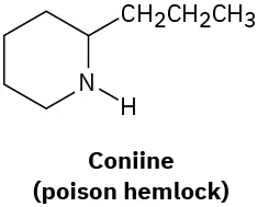 The structure of coniine (poison hemlock), in which N is in first position. C2 is bonded to a propyl group.