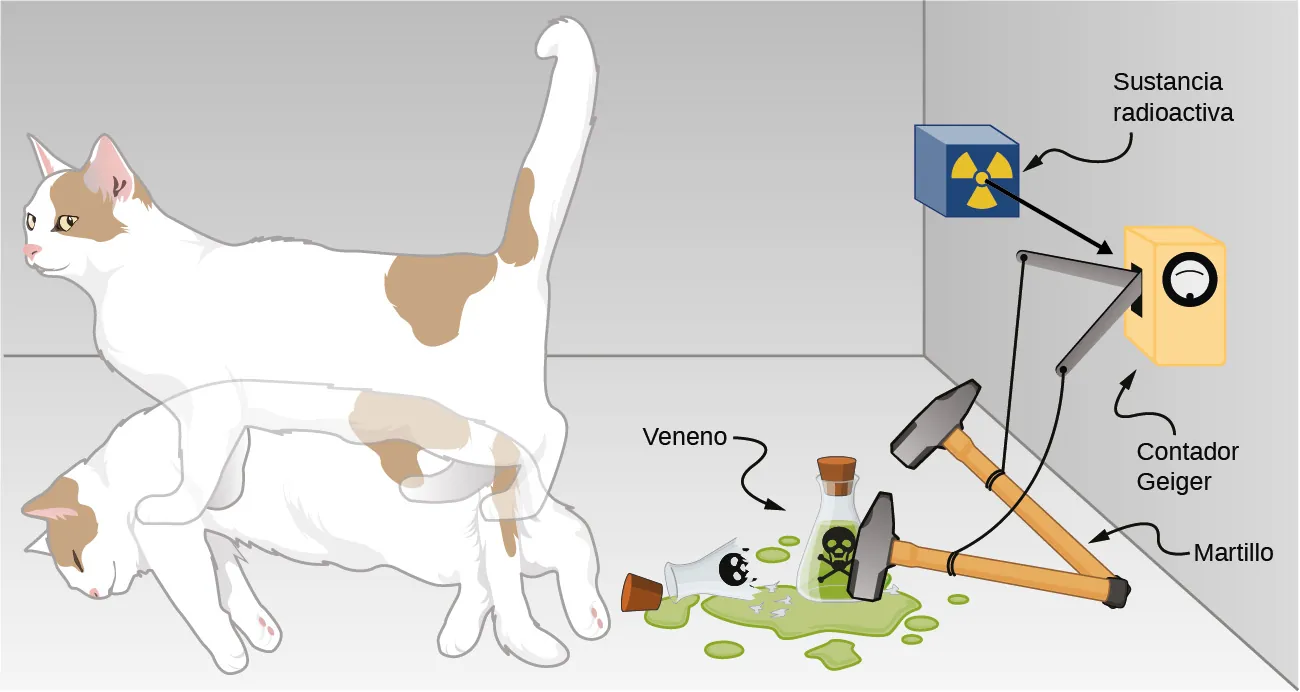 Se ilustra el experimento mental del gato de Schodinger, que consiste en un contador Geiger, un frasco de veneno, un martillo, una sustancia radiactiva y un gato. Cada uno se muestra en dos estados: El contador Geiger se activó y se desactivó, el martillo subió y bajó, el frasco de veneno entero y roto, y el gato vivo y muerto.