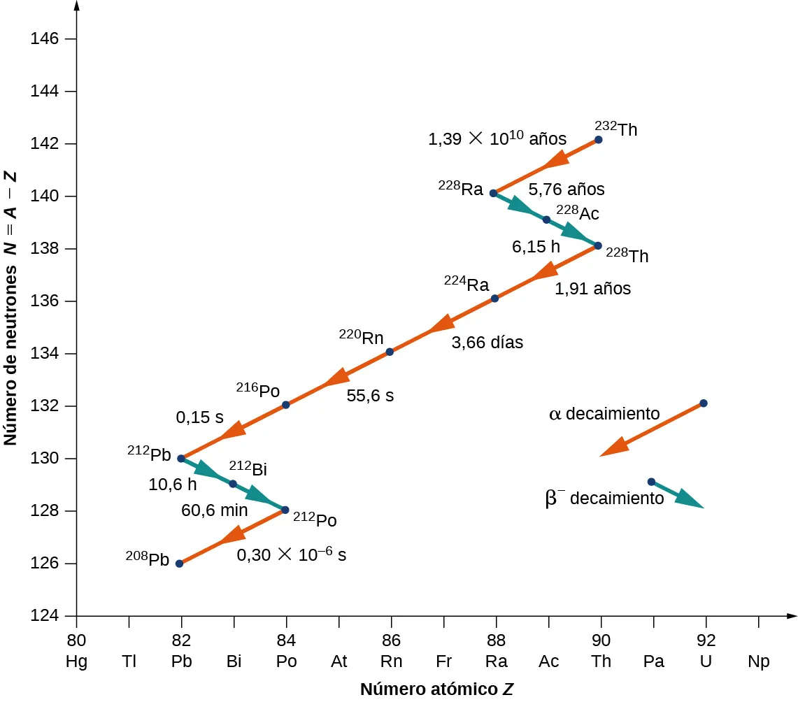 Se muestra un gráfico del número de neutrones N = A - Z frente al número atómico Z. El decaimiento alfa se muestra con flechas rojas que apuntan hacia abajo a la izquierda, mostrando así la disminución tanto de N como de Z. El decaimiento beta se muestra con flechas azules que apuntan hacia abajo a la derecha, indicando una disminución de N y un aumento de Z. El decaimiento se muestra como sigue: Decaimiento alfa de 232 Th a 228 Ra en 1,39 por 10 a la potencia 10 años. El decaimiento beta de 228 Ra a 228 Ac en 5,76 años y de 228 Ac a 228 Th en 6,15 horas. El decaimiento alfa de 228 Th a 224 Ra en 1,91 años, de 224 Ra a 220 Rn en 3,66 días, de 220 Rn a 216 Po en 55,6 segundos y de 216 Po a 212 Pb en 0,15 segundos. El decaimiento beta de 212 Pb a 212 Bi en 10,6 horas y de 212 Bi a 212 Po en 60,6 minutos. Decaimiento alfa de 212 Po a 208 Pb en 0,3 por 10 a la potencia menos 6 segundos.