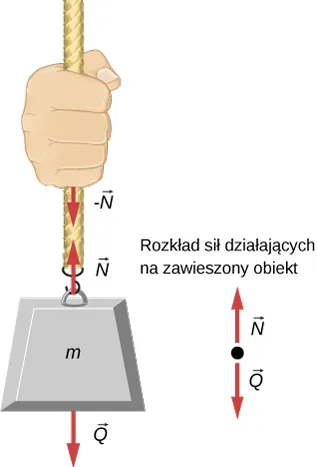 Rysunek pokazuje obiekt o masie m zawieszony na sznurze. Dwie strzałki wektorów sił są równej długości, lecz mają przeciwny zwrot. Siła naciągu sznura N ma zwrot ku górze, natomiast siła ciężkości masy m ma zwrot do dołu. Na rysunku pokazano również rozkład sił działających na zawieszony obiekt.