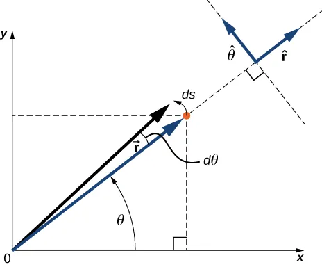 The cartesian x y coordinate system and the polar coordinate r theta coordinate system are shown. A small change in the position has a change in angle d theta and displacement d s. The position unit vector r hat and arc length theta hat unit vector both lie in the xy-plane and are perpendicular to each other. R hat is radial, in the same direction as the vector r. Theta hat is in the direction of d s.