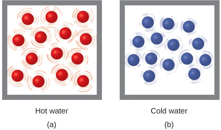 Two molecular drawings are shown and labeled a and b. Drawing a is a box containing fourteen red spheres that are surrounded by lines indicating that the particles are moving rapidly. This drawing has a label that reads “Hot liquid.” Drawing b depicts another box of equal size that also contains fourteen spheres, but these are blue. They are all surrounded by smaller lines that depict some particle motion, but not as much as in drawing a. This drawing has a label that reads “Cold liquid.”