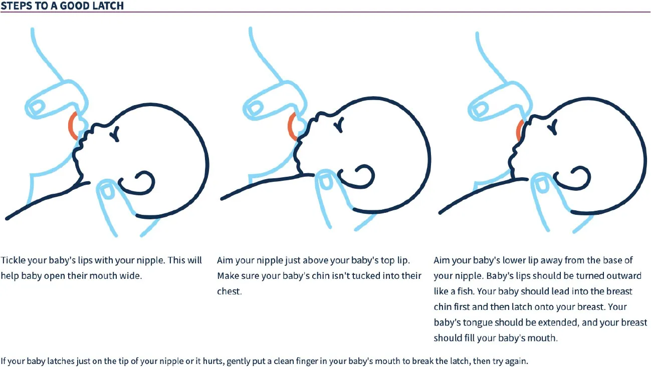 Image of steps to a good latch for breastfeeding, which include: tickling baby’s lips, aiming nipple at baby’s top lip, and leaning baby onto the breast.
