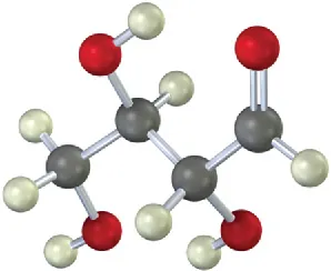 The ball-and-stick model of aldotetrose comprises four-carbon atoms. The gray, black, and red spheres represent hydrogen, carbon, and oxygen atoms, respectively.
