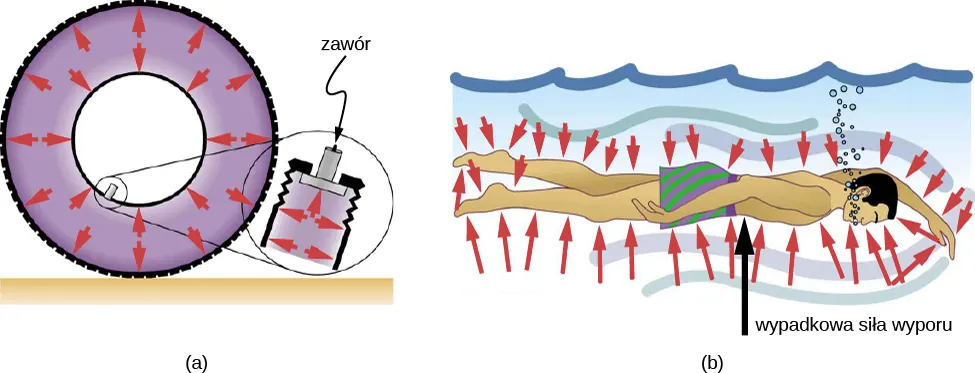 Ilustracja (a) przedstawia schematyczny rysunek opony wypełnionej powietrzem. Ciśnienie wewnątrz opony powoduje, że powietrze wywiera siłę prostopadłą do wszystkich powierzchni, z którymi jest w kontakcie, łącznie z zaworem. Na ilustracji (b) przedstawiono schematyczny rysunek pływaka pod wodą. Woda oddziałuje na wszystkie powierzchnie pływaka, wypadkowa siła wyporu działa na pływaka ku górze.