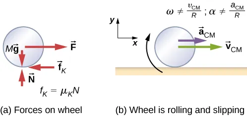 Figure a shows a free body diagram of a wheel, including the location where the forces act. Four forces are shown: M g is a downward force acting on the center of the wheel. N is an upward force acting on the bottom of the wheel. F is a force to the right, acting on the center of the wheel, and f sub k is a force to the left acting on the bottom of the wheel. The force f sub k is equal to mu sub k times N. Figure b is an illustration of the wheel rolling and slipping on a horizontal surface. The wheel has a clockwise rotation, an acceleration to the right of a sub C M and a velocity to the right of v sub V M. omega does not equal v sub C M over R and alpha does not equal a sub C M over R. A coordinate system with positive x to the right and positive y up is shown.