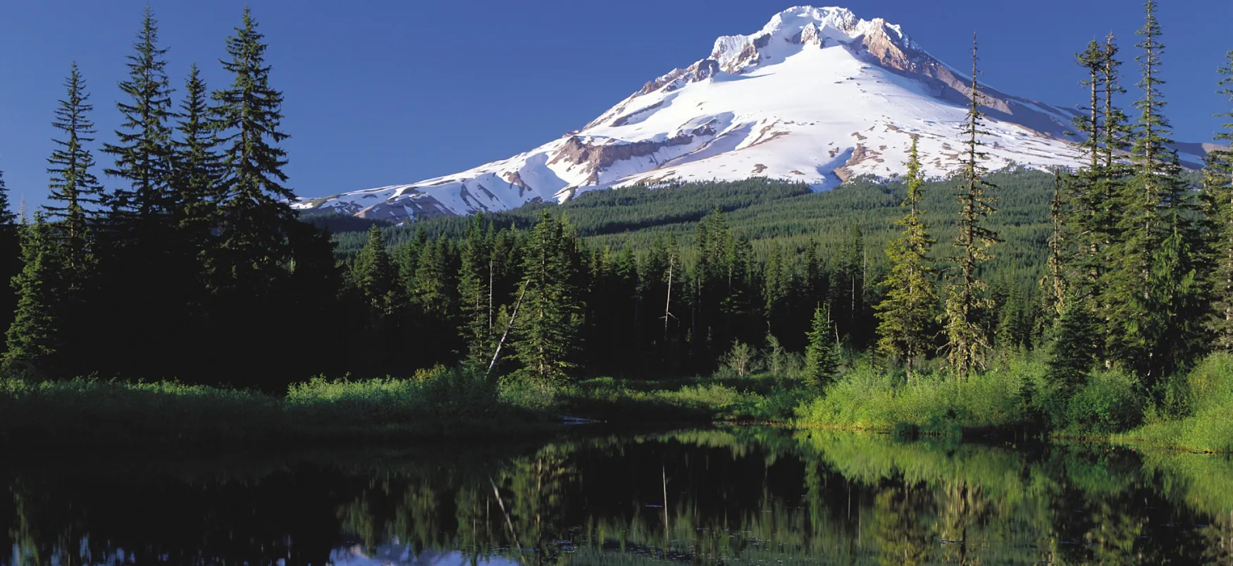 Mount Hood, a snow-covered mountain in Oregon, is reflected on the surface of a lake.